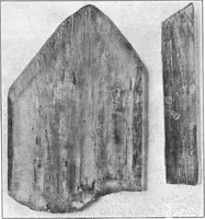 An illustration from Scientific American, Vol. 89, No. 10 (September 1903) (1903)