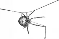 An illustration from Scientific American, Vol. 89, No. 10 (September 1903) (1903)