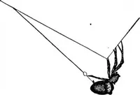 An illustration from Scientific American, Vol. 89, No. 10 (September 1903) (1903)