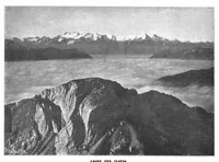 Picture 14 of 18 from Scientific American, Vol. 89, No. 12 (September 1903) (1903), leaf 10