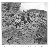 Picture 12 of 18 from Scientific American, Vol. 89, No. 12 (September 1903) (1903), leaf 8