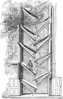 An illustration from Scientific American, Vol. 89, No. 13 (September 1903) (1903)
