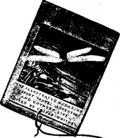Picture 23 of 37 from Scientific American, Vol. 89, No. 13 (September 1903) (1903), leaf 17