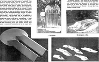Picture 2 of 37 from Scientific American, Vol. 89, No. 13 (September 1903) (1903), leaf 3