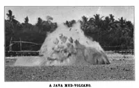 Picture 7 of 20 from Scientific American, Vol. 89, No. 15 (October 1903) (1903), leaf 6