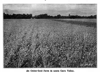 Picture 10 of 19 from Scientific American, Vol. 89, No. 19 (November 1903) (1903), leaf 7