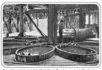 An illustration from Scientific American, Vol. 89, No. 24 (December 1903) (1903)