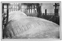 Picture 8 of 14 from Scientific American, Vol. 90, No. 3 (January 1904) (1904), leaf 7