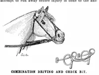 An illustration from Scientific American, Vol. 90, No. 8 (February 1904) (1904)