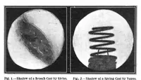 Picture 4 of 24 from Scientific American, Vol. 90, No. 8 (February 1904) (1904), leaf 3