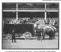 Picture 5 of 27 from Scientific American, Vol. 90, No. 15 (April 1904) (1904), leaf 4