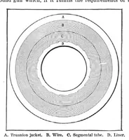 Picture 3 of 27 from Scientific American, Vol. 90, No. 19 (May 1904) (1904), leaf 4