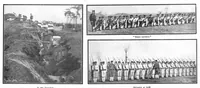 Picture 7 of 15 from Scientific American, Vol. 90, No. 22 (May 1904) (1904), leaf 8