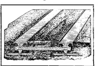 An illustration from Scientific American, Vol. 91, No. 2 (July 1904) (1904)