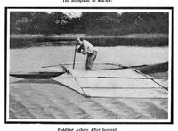 Picture 9 of 20 from Scientific American, Vol. 91, No. 6 (August 1904) (1904), leaf 7