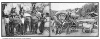 An illustration from Scientific American, Vol. 91, No. 6 (August 1904) (1904)