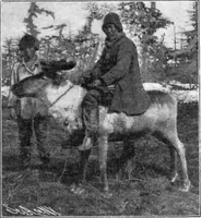 An illustration from Scientific American, Vol. 91, No. 8 (August 1904) (1904)