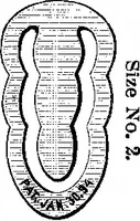 Picture 35 of 51 from Scientific American, Vol. 91, No. 9 (August 1904) (1904), leaf 13