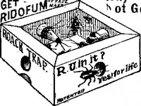 Picture 47 of 51 from Scientific American, Vol. 91, No. 9 (August 1904) (1904), leaf 15