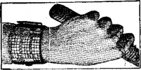 An illustration from Scientific American, Vol. 91, No. 9 (August 1904) (1904)