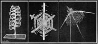 An illustration from Scientific American, Vol. 91, No. 9 (August 1904) (1904)