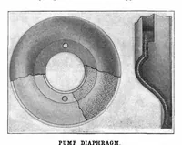 Picture 10 of 19 from Scientific American, Vol. 91, No. 12 (September 1904) (1904), leaf 11