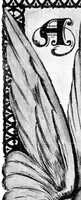 An illustration from Scientific American, Vol. 91, No. 19 (November 1904) (1904)