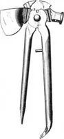 Picture 22 of 41 from Scientific American, Vol. 91, No. 22 (November 1904) (1904), leaf 12