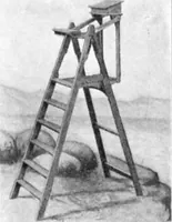 An illustration from Scientific American, Vol. 91, No. 22 (November 1904) (1904)