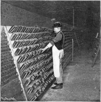 Picture 8 of 41 from Scientific American, Vol. 91, No. 22 (November 1904) (1904), leaf 4