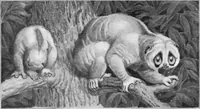 An illustration from Scientific American, Vol. 92, No. 1 (January 1905) (1905)