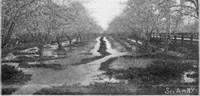 Picture 11 of 29 from Scientific American, Vol. 92, No. 1 (January 1905) (1905), leaf 9