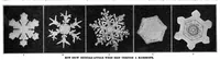 Picture 5 of 23 from Scientific American, Vol. 92, No. 2 (January 1905) (1905), leaf 4