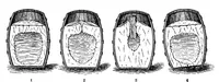 Picture 9 of 23 from Scientific American, Vol. 92, No. 2 (January 1905) (1905), leaf 6