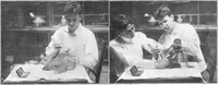 Picture 6 of 45 from Scientific American, Vol. 92, No. 11 (March 1905) (1905), leaf 4