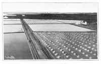 An illustration from Scientific American, Vol. 92, No. 13 (April 1905) (1905)