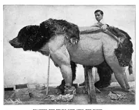 An illustration from Scientific American, Vol. 92, No. 14 (April 1905) (1905)