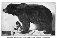 Picture 3 of 20 from Scientific American, Vol. 92, No. 14 (April 1905) (1905), leaf 3