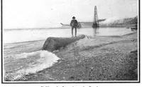 An illustration from Scientific American, Vol. 92, No. 17 (April 1905) (1905)