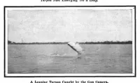 Picture 20 of 26 from Scientific American, Vol. 92, No. 17 (April 1905) (1905), leaf 11