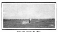 Picture 21 of 26 from Scientific American, Vol. 92, No. 17 (April 1905) (1905), leaf 11