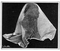 An illustration from Scientific American, Vol. 92, No. 17 (April 1905) (1905)