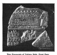An illustration from Scientific American, Vol. 93, No. 2 (July 1905) (1905)