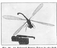 Picture 12 of 21 from Scientific American, Vol. 93, No. 3 (July 1905) (1905), leaf 10