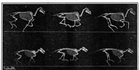 An illustration from Scientific American, Vol. 93, No. 5 (July 1905) (1905)