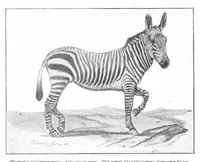 An illustration from Scientific American, Vol. 93, No. 18 (October 1905) (1905)