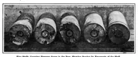 Picture 5 of 23 from Scientific American, Vol. 93, No. 19 (November 1905) (1905), leaf 4