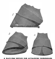 Picture 7 of 24 from Scientific American, Vol. 93, No. 23 (December 1905) (1905), leaf 5