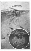 An illustration from Scientific American, Vol. 93, No. 23 (December 1905) (1905)