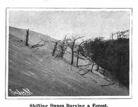Picture 9 of 24 from Scientific American, Vol. 94, No. 8 (February 1906) (1906), leaf 8